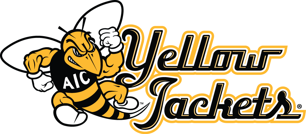 aic yellow jackets 2009-pres alternate logo v7 diy DTF decal sticker